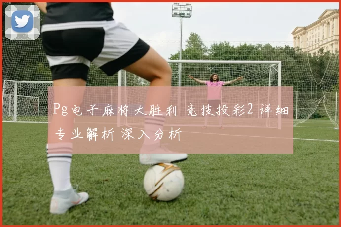 Pg电子麻将大胜利 竞技投彩2 详细专业解析 深入分析