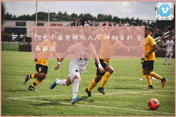 Pg电子麻将游戏大厅 详细分析 全面解读