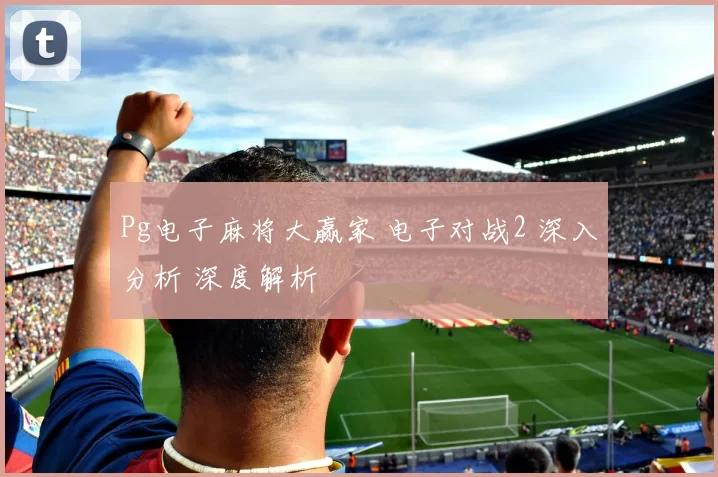 Pg电子麻将大赢家 电子对战2 深入分析 深度解析